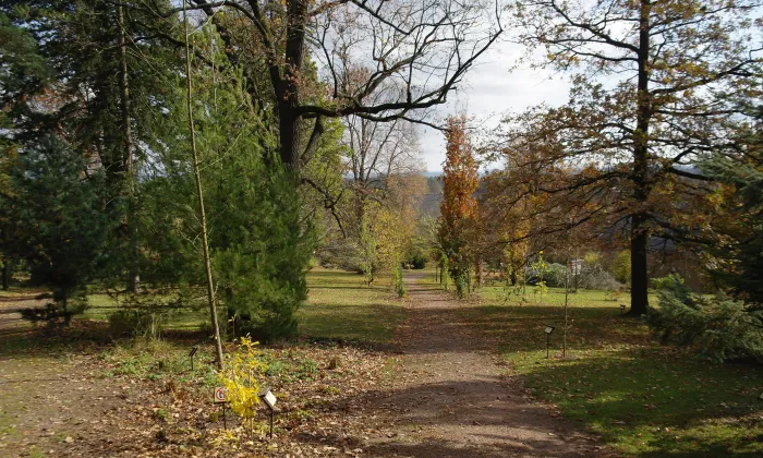 Arboretum Žampach
