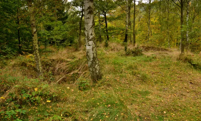 Hausberk (Křimov)