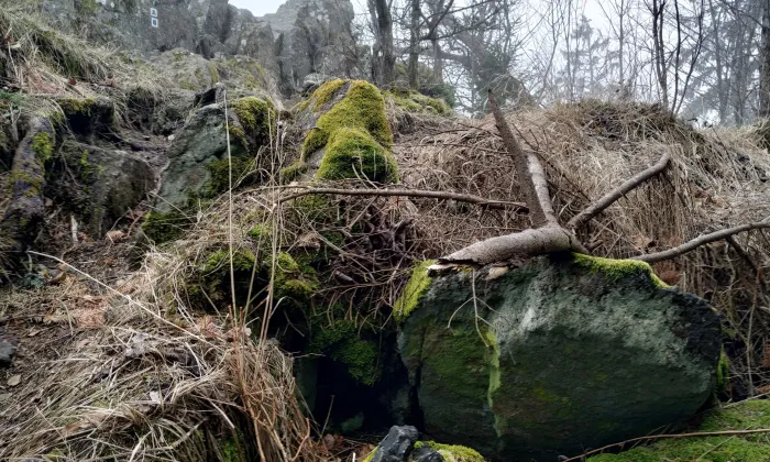 Hrad na Stožecké skále