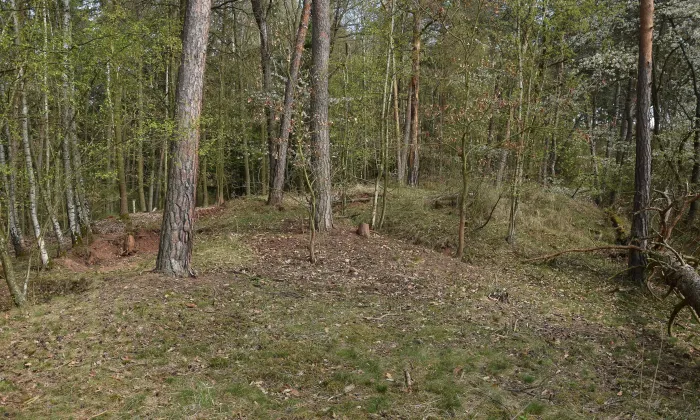 Hrádek u Vrbice