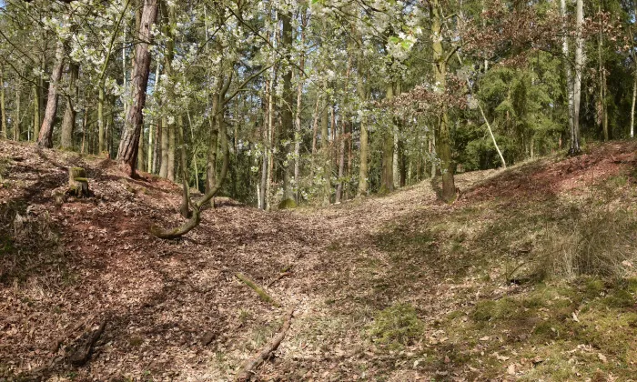 Hrádek u Vrbice