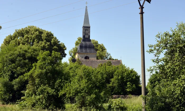 Kovanice
