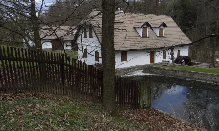 Kožlí