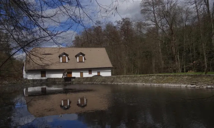 Kožlí