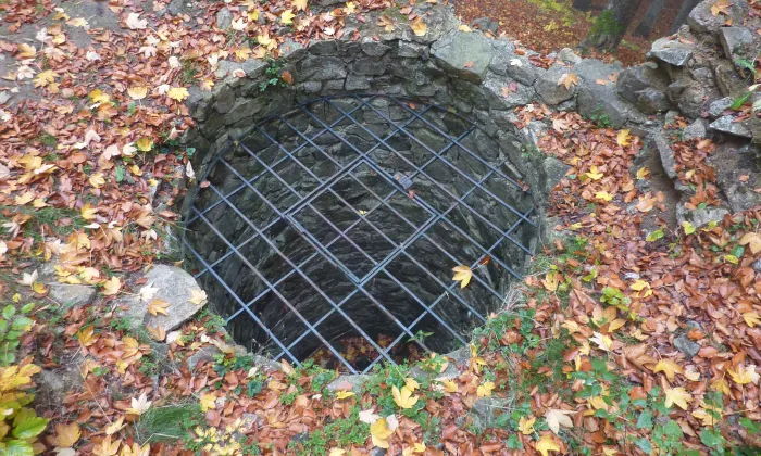 Krásný Buk