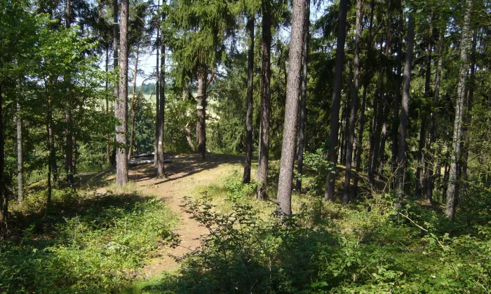 Kyjov