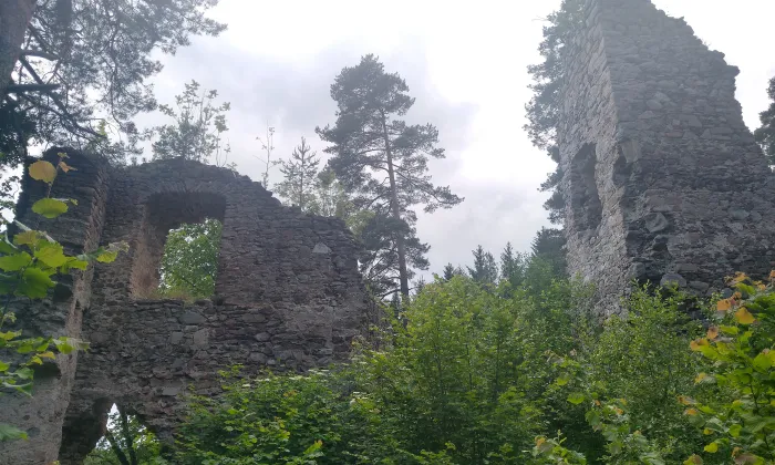 Louzek
