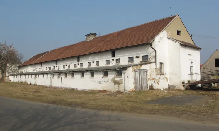 Mradice