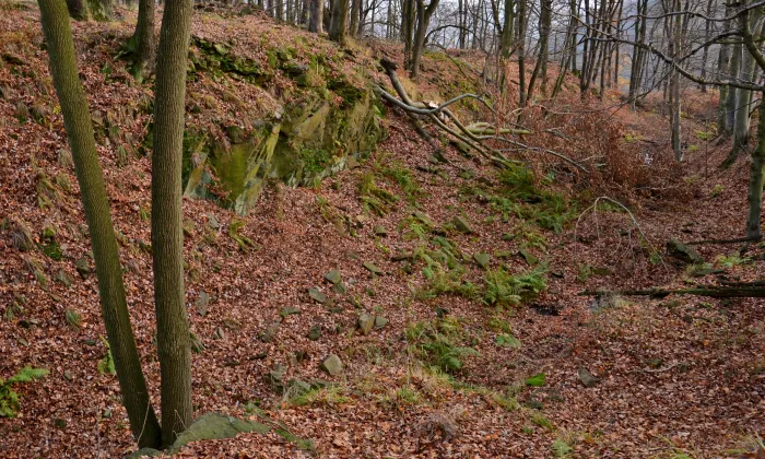 Najštejn