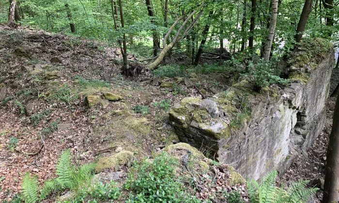Najštejn