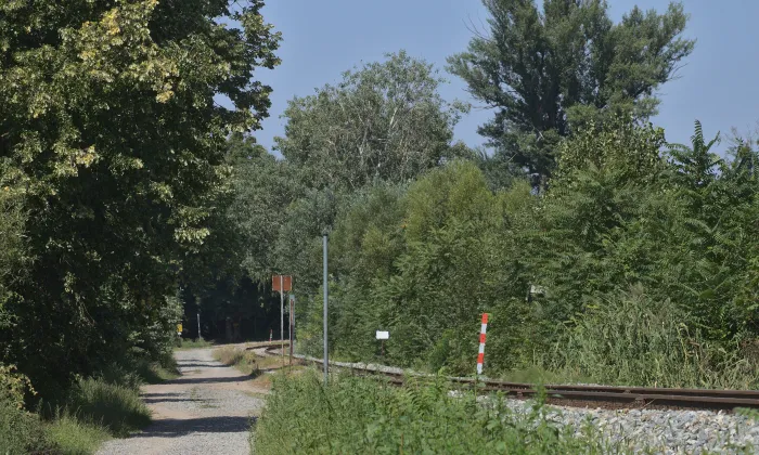 Nový dvůr (Charvátská Nová Ves)