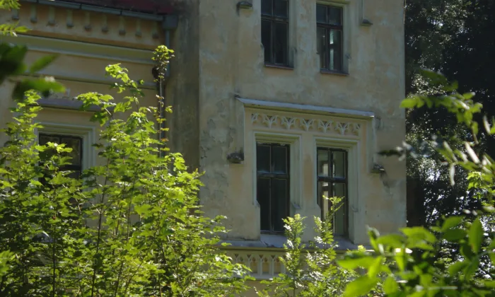 Oblajovice