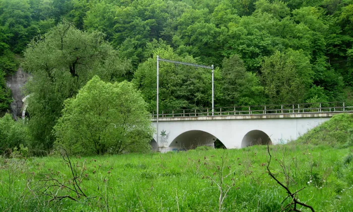 Obřany