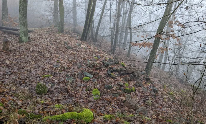 Obřany