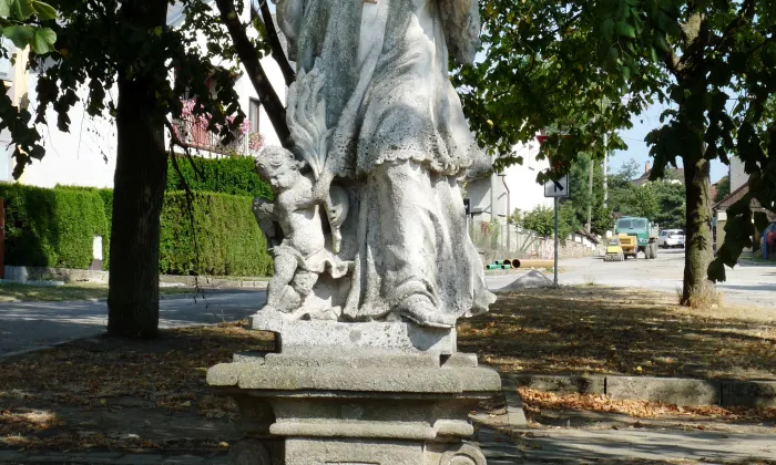 Puklice