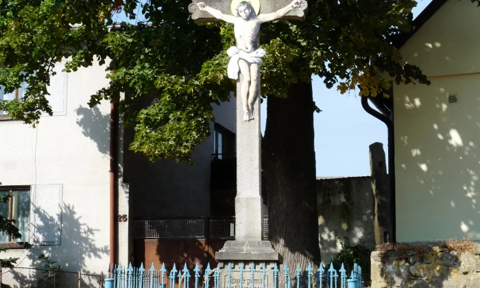 Puklice