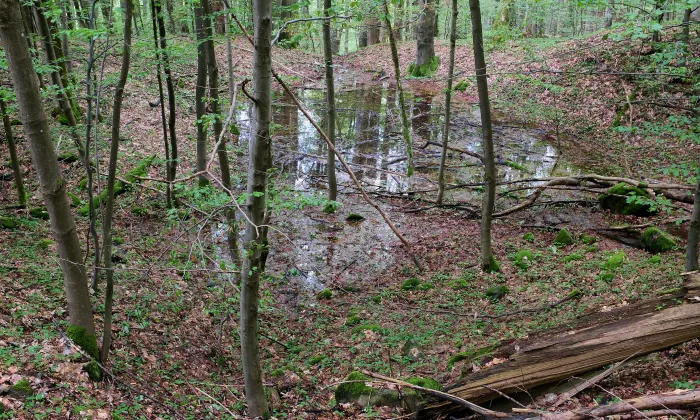 Přimda