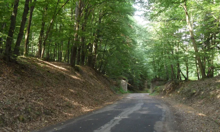 Roztěž