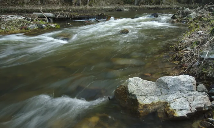 Rysov (Tišnovská Nová Ves)