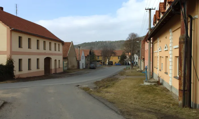 Sazená