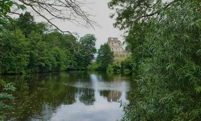 Starý Rybník