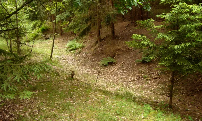 Sviňomazský hrádek