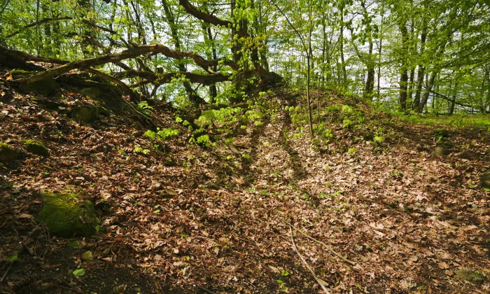 Svrčov