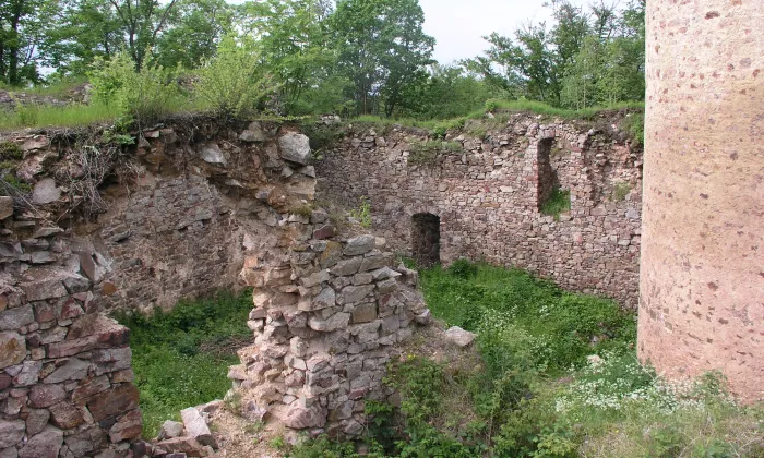 Valdek