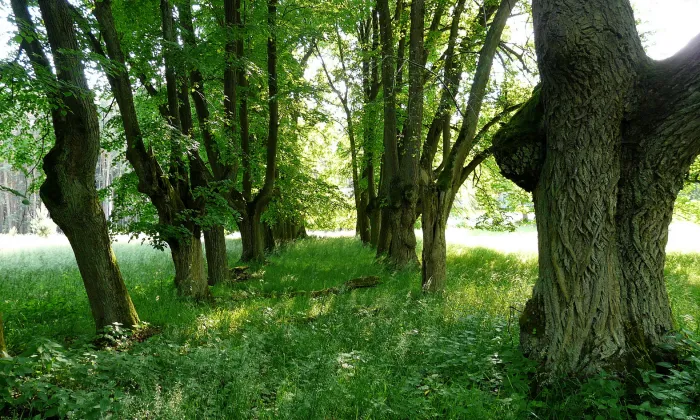 Valdštejnsko
