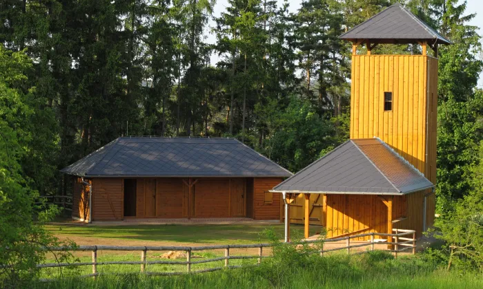 Vrškamýk