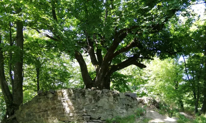 Zuvačov
