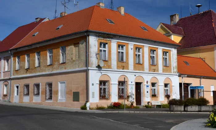 zámek Radonice