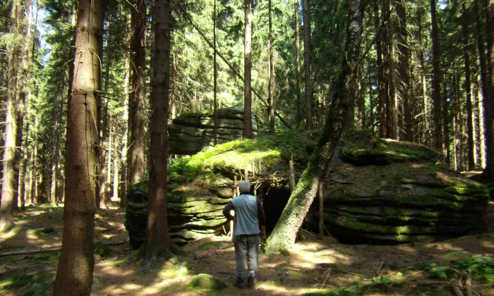 Šelmberk (Lesná)