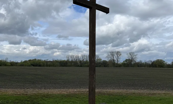 Hradiště Libice nad Cidlinou