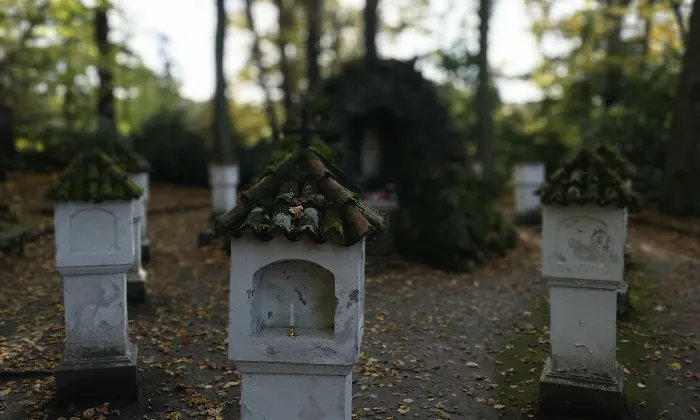 Růžová zahrada