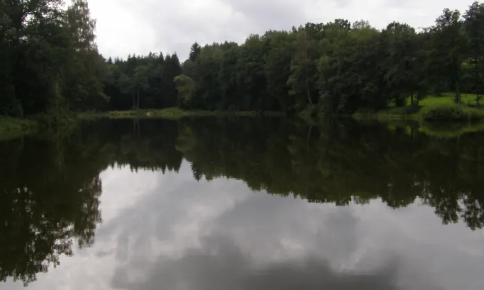 Vodní pila