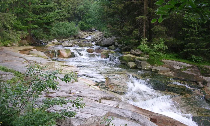 Harrachova cesta