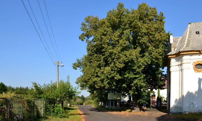 Kaple svaté Anny (Vikletice)
