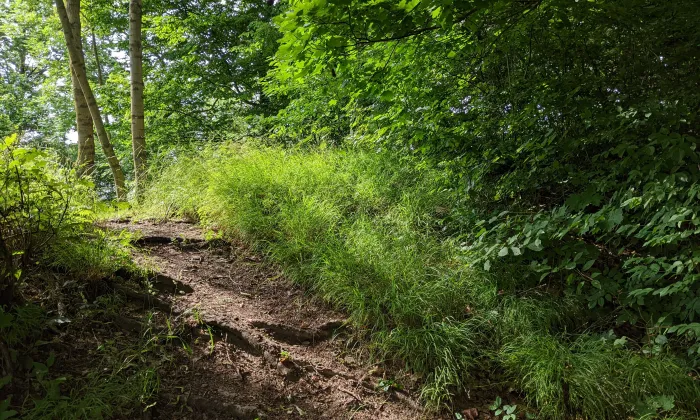 Kaple svatého Jana Nepomuckého (Letohrad)