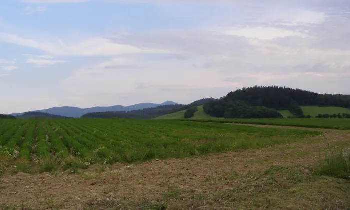 Kaple svatého Mořice