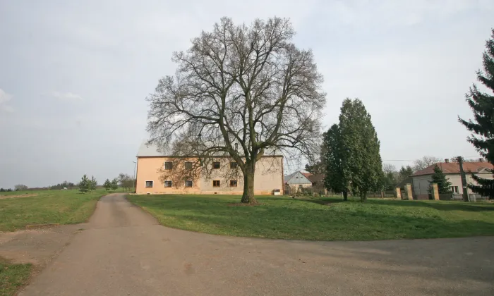 Kostel Nanebevzetí Panny Marie (Velešice)