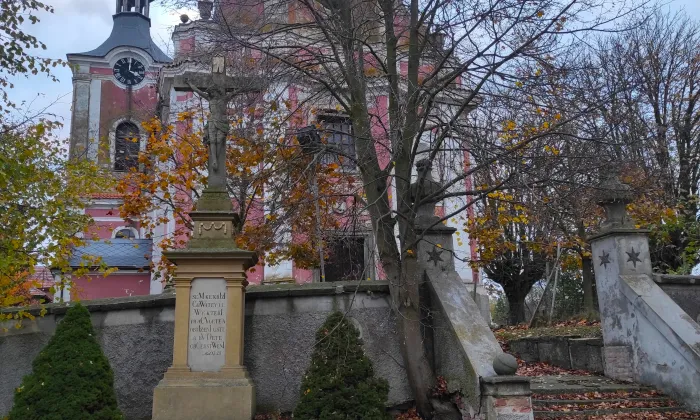 Kostel Nanebevzetí Panny Marie (Petrovice)
