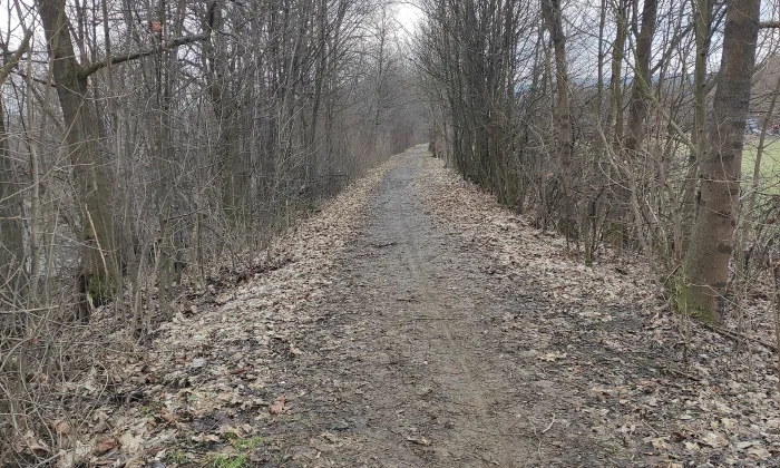 Kostel Narození Panny Marie (Pržno)