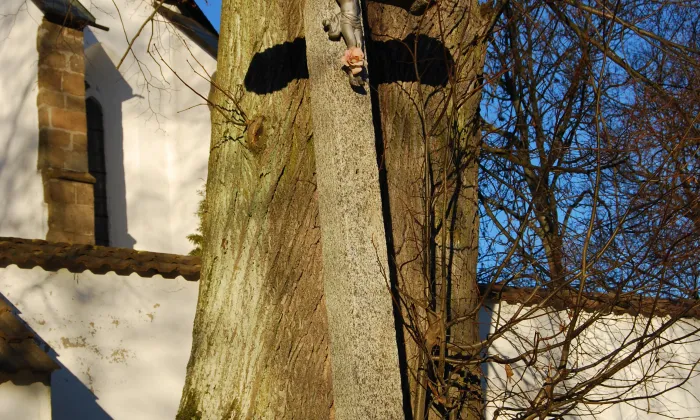 Kostel Narození Panny Marie (Nový Kostelec)
