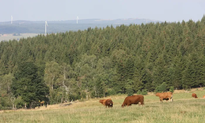 Kostel Nejsvětější Trojice (Malý Háj)