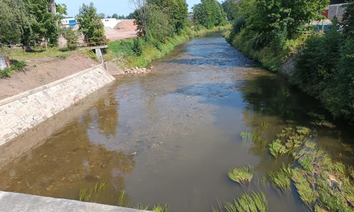 Kostel Povýšení svatého Kříže (Dvůr Králové nad Labem)