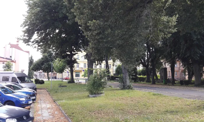 Kostel Povýšení svatého Kříže (Dvůr Králové nad Labem)