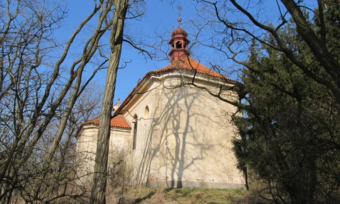 Kostel Proměnění Páně (Pacelice)