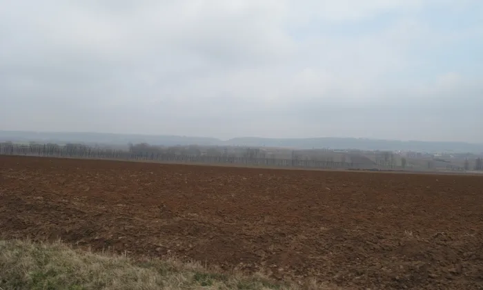 Kostel svaté Markéty (Nesuchyně)