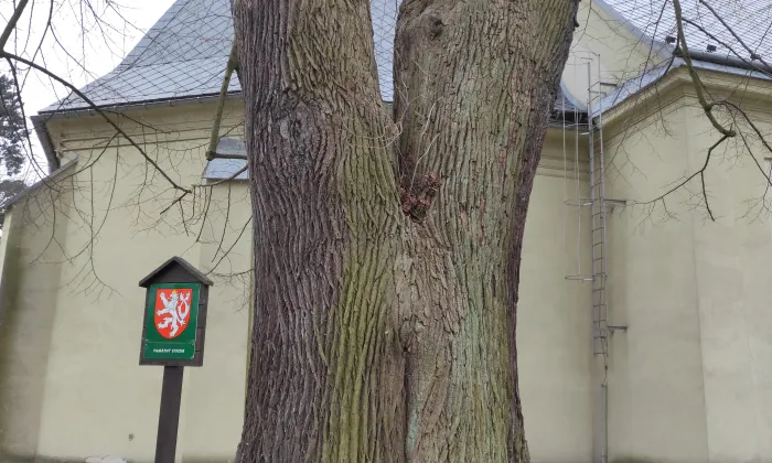 Kostel svatého Bartoloměje (Nová Ves)